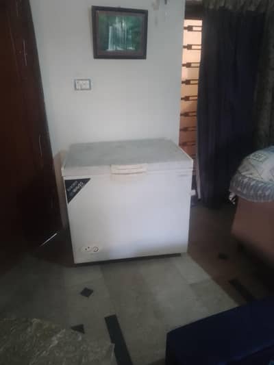 Waves Deep Freezer. Used 1 year. Never Repaired.