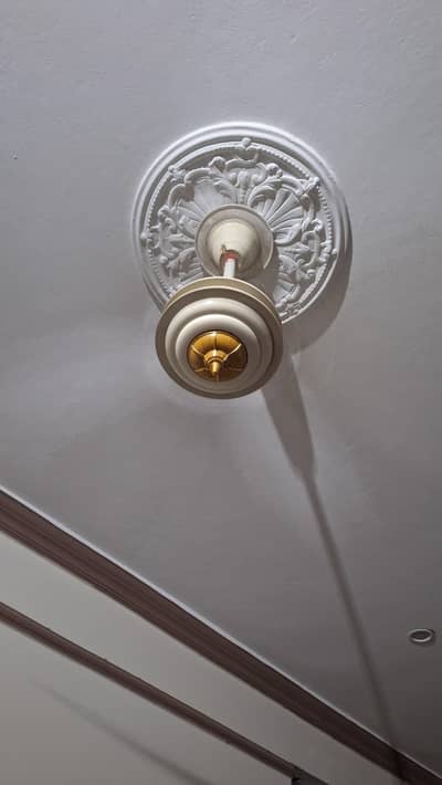 GFC Fans copper 56 inches