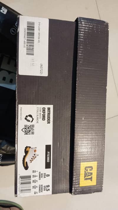 Caterpillar Intruder Oxford