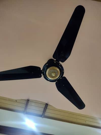Ceiling fan