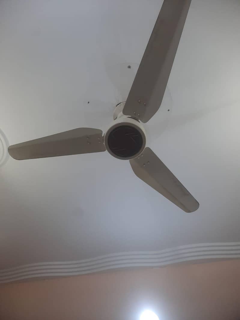 Royal Ac Dc fan - Ceiling Fans - 1113333542