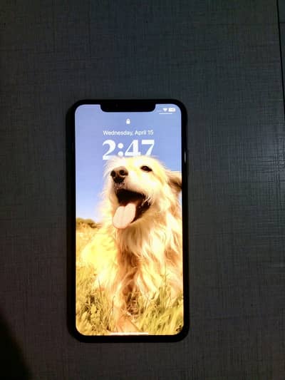 iPhone XS Max 64GB Gold Non PTA Face ID OK Lahore