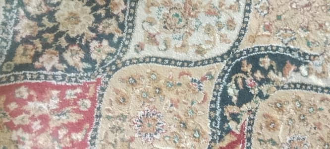 fresh and neat room carpets