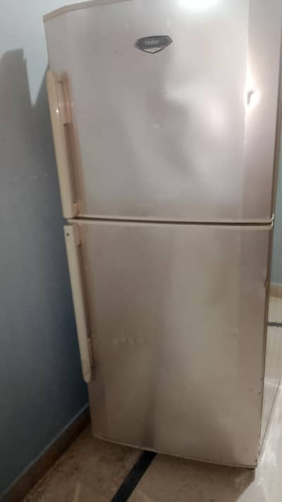 Haier fridge medium size