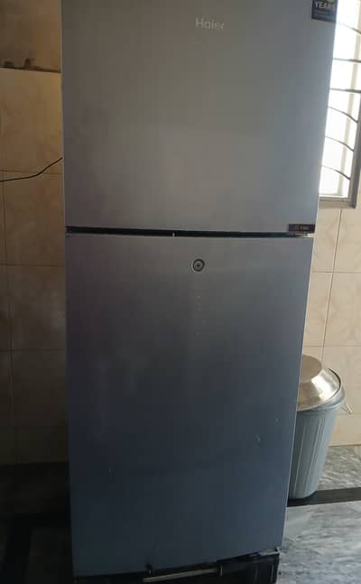 Haier Medium Refrigerator