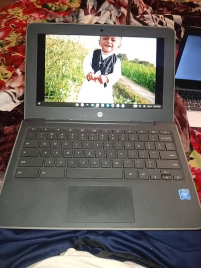 Hp Chromebook