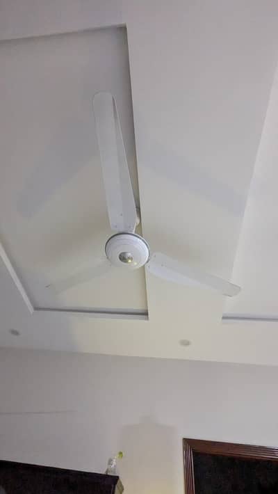 ceiling fan (Golen star)