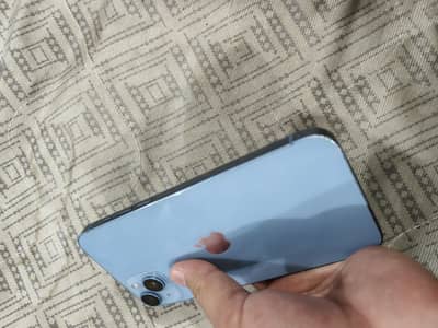 Contact what’s app only