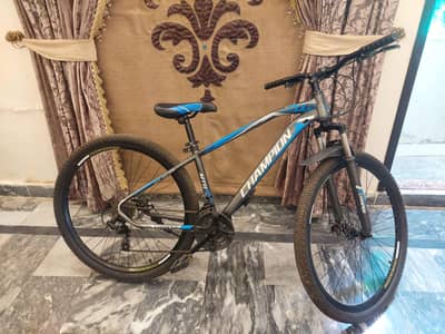 Champion Bicycle – Excellent Condition