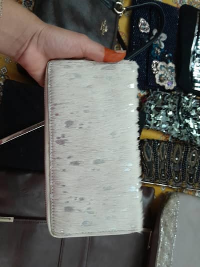 Bags (clutches, hand bags)