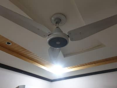 ceiling fan