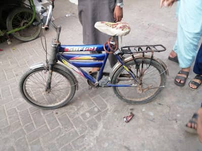 safari bicycle
