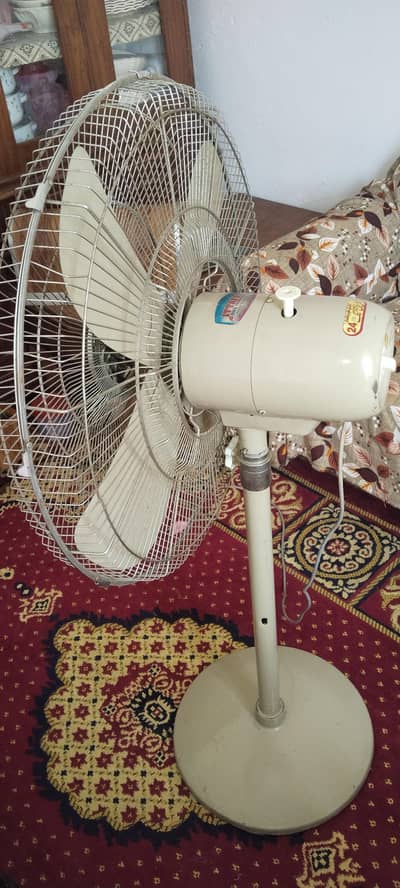pesital Fan