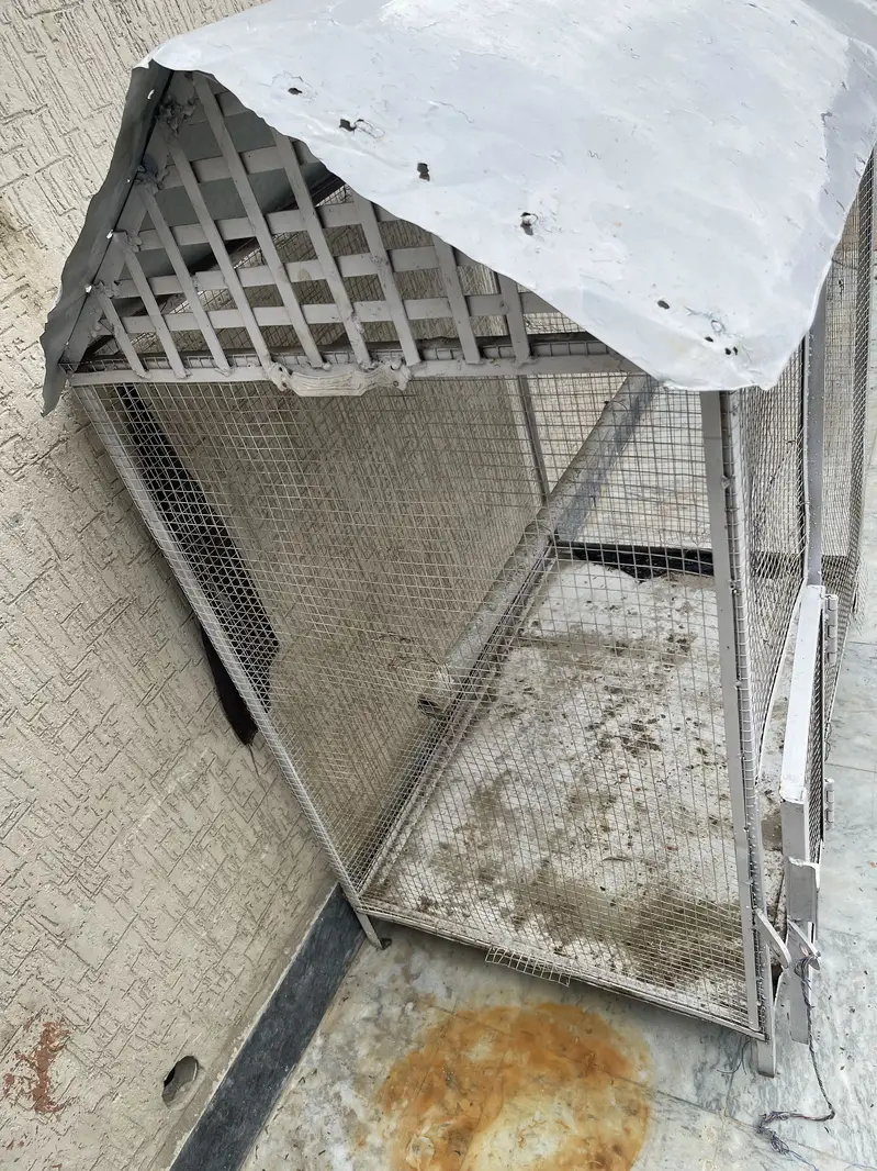 parrot cage — photo 3