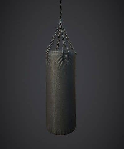 Punching bags for sale