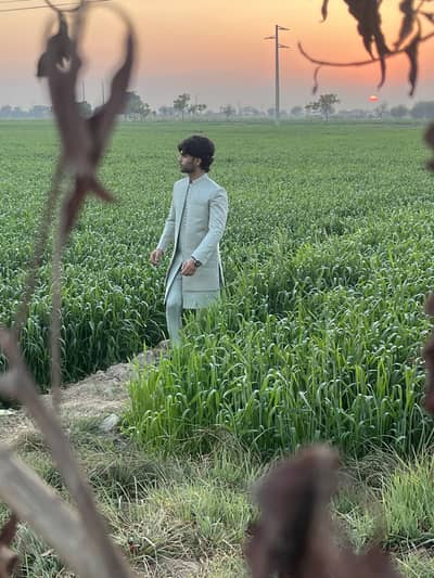 Premium Wedding/Nikkah Dress - Men's Sherwani (Medium) - Designer Sti