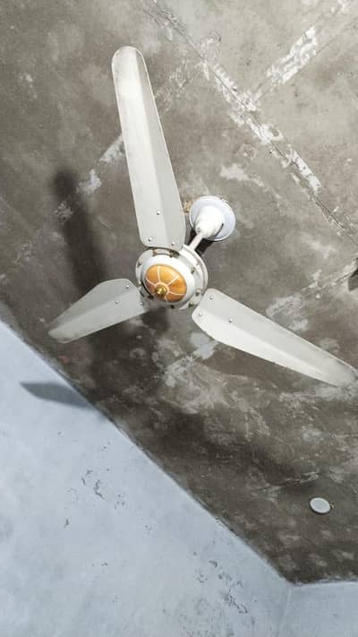 Used Ceiling Fan's for sale