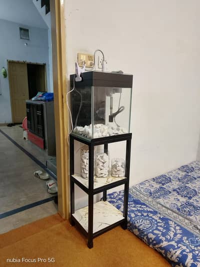 Fish Aquarium totally new just water test