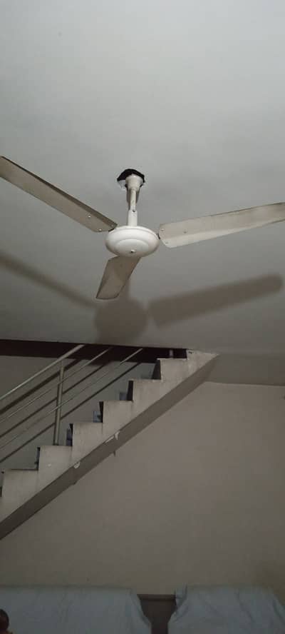 Celling Fan