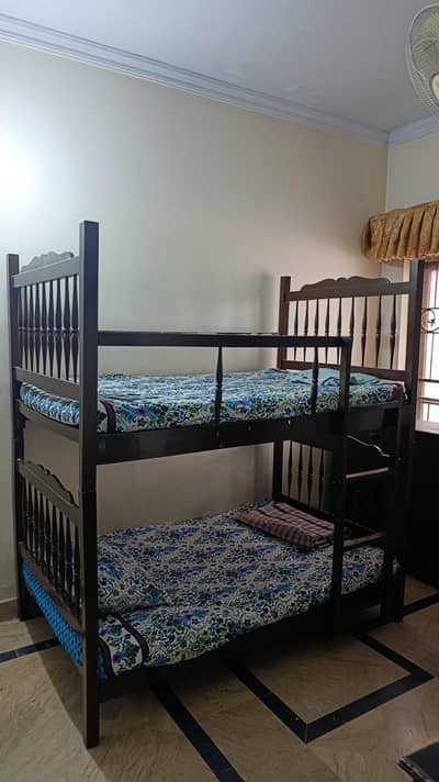 Bunker Bed Pure wood