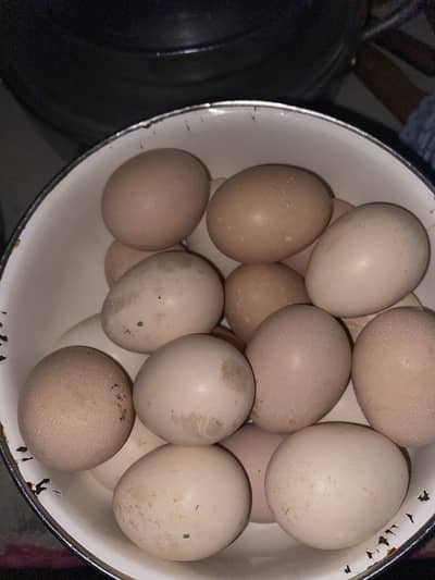 Eggs for sale