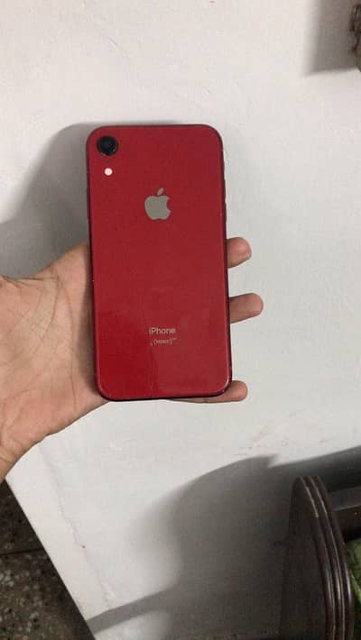 iPhone xr