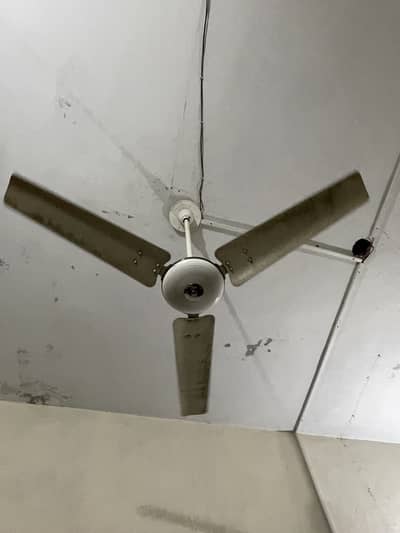 Royal Fans 10/10 condition