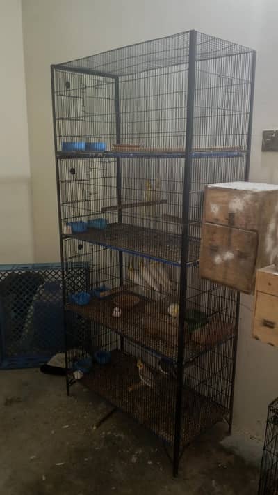All types cages available for sale
