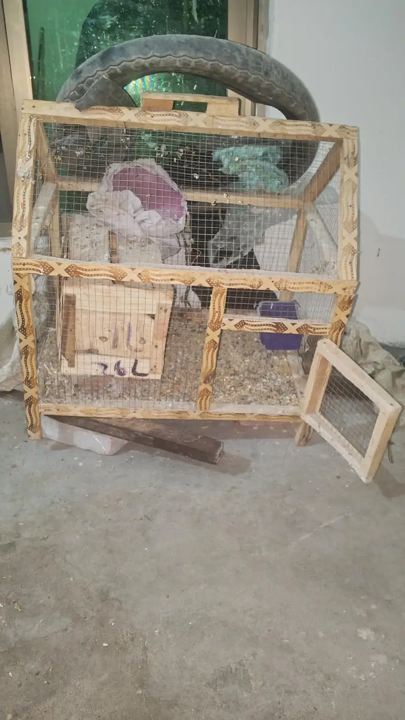 All types cages available for sale — photo 2