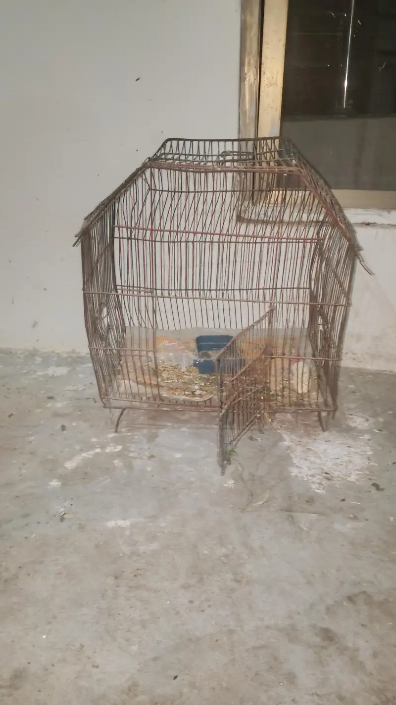 All types cages available for sale — photo 3