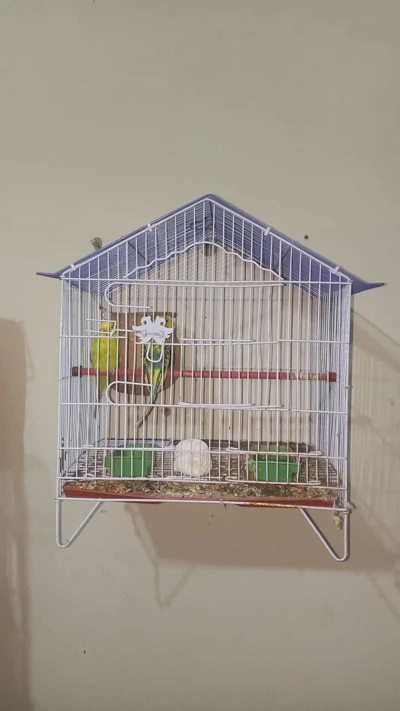 All types cages available for sale — photo 4
