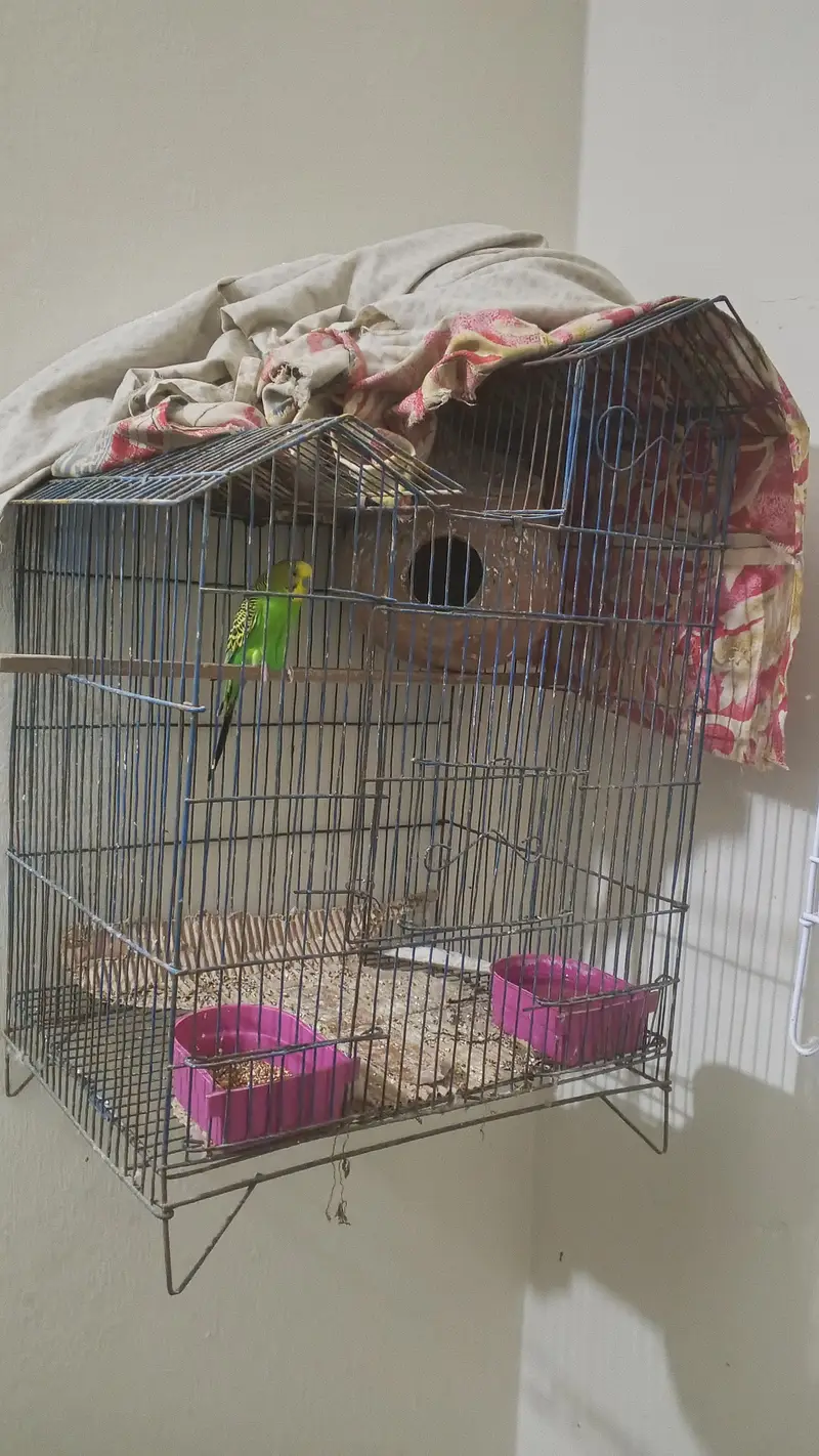All types cages available for sale — photo 5