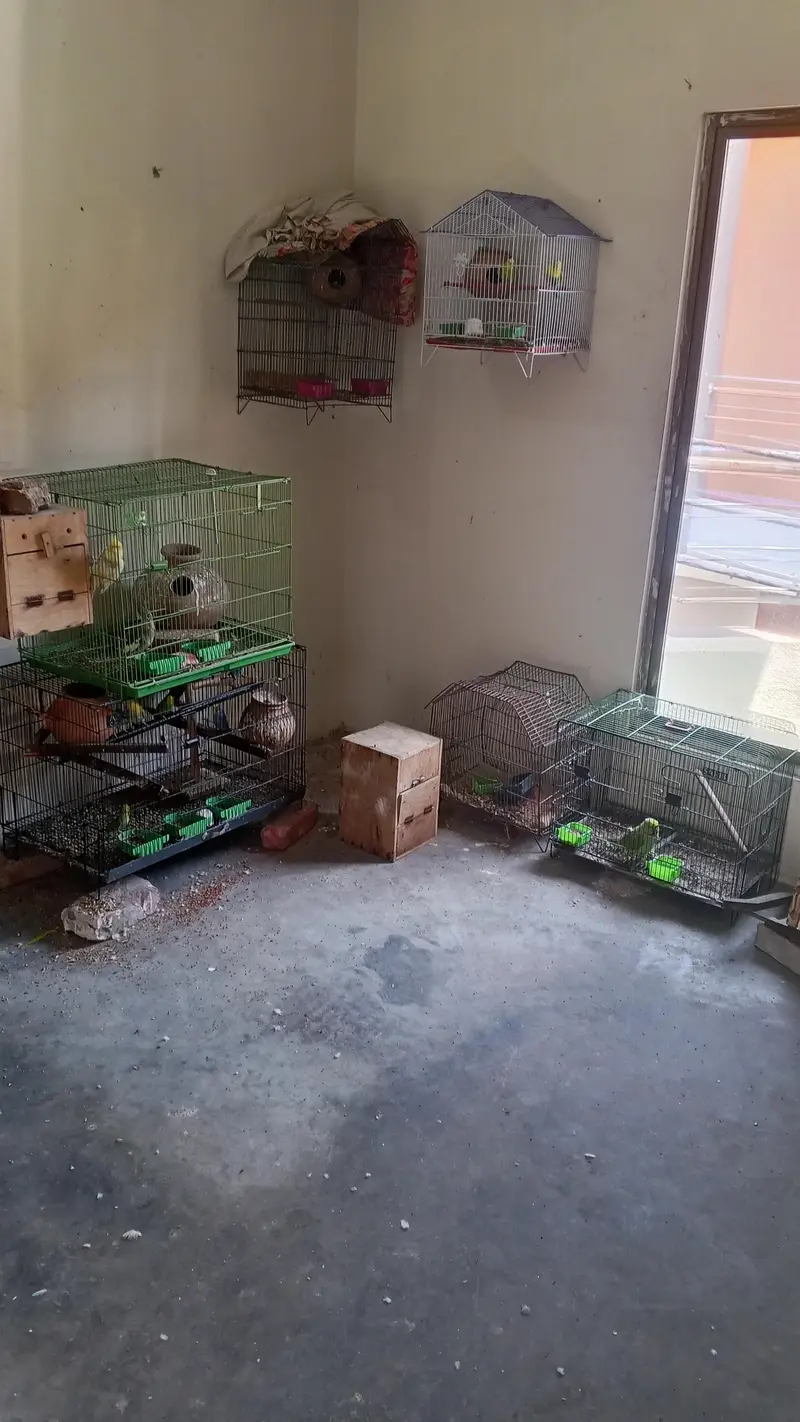 All types cages available for sale — photo 7