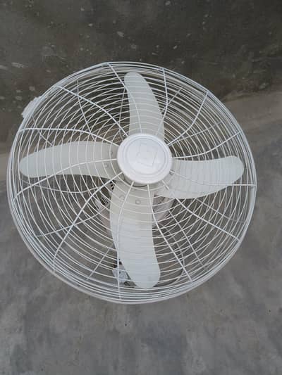 Brand new Royal fan for Sale