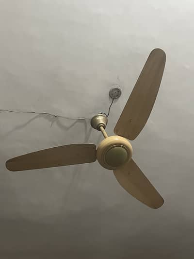 Parwaz Ceiling fan