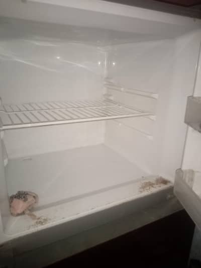 Hair refrigerator Good Condition Like new