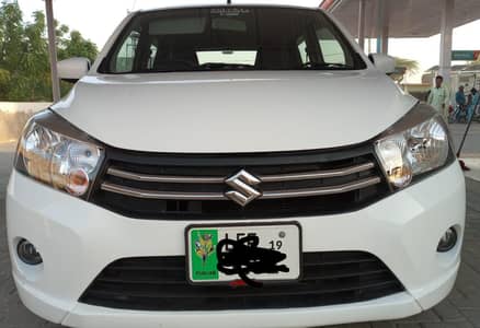 suzuki Caltus