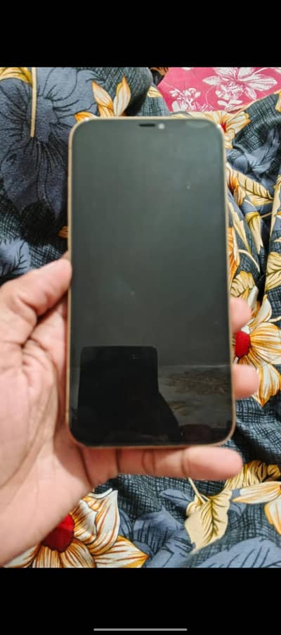 i phone 12 pro max jv gold colour