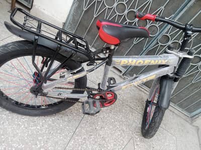 Phoenix Bicycle 20/22"