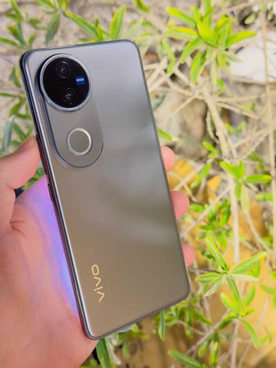 vivo V50 RAM 12+12  512 GB