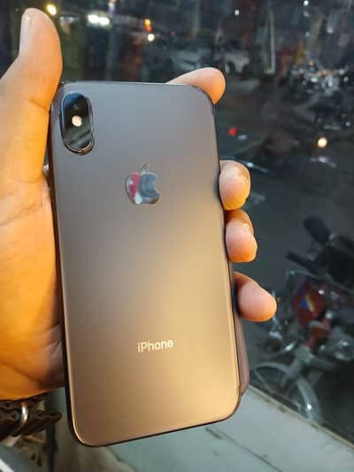 256gp lush cadishion