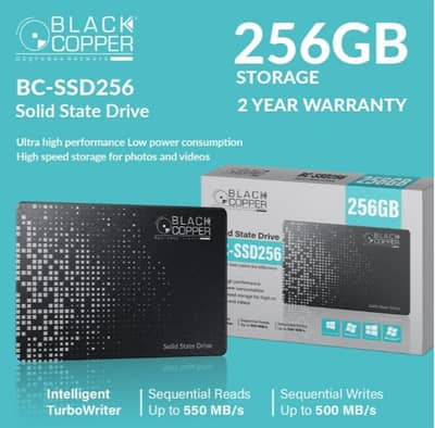 256GB SSD (Black Copper)
