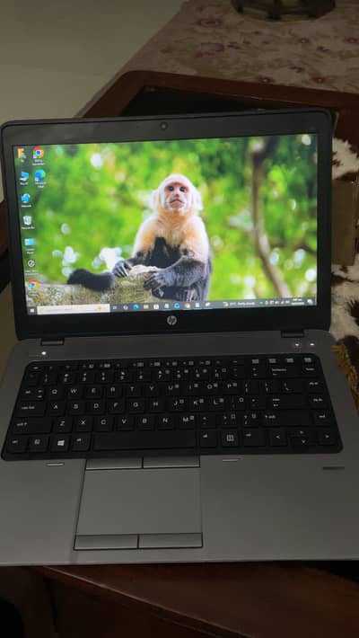 HP ProBook Fast SSD Laptop