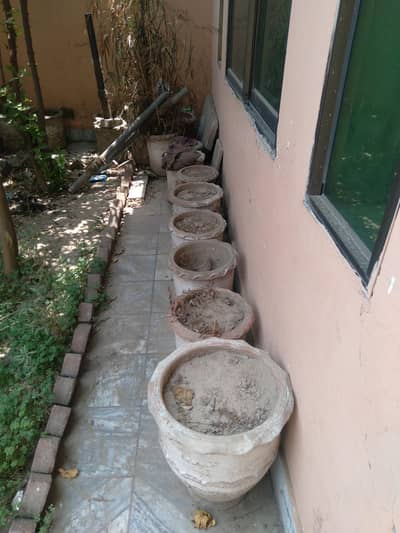 Flower pots with soft mud