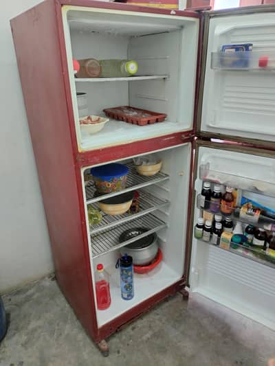 DAWLENCE FRIDGE MEDIUM SIZE