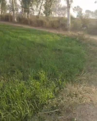 Commercial Land For Sale