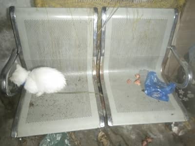 chair 2 seater chrome finishing frame