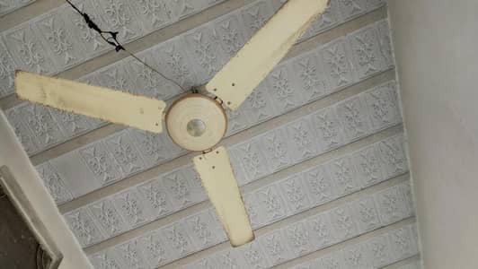 Ceiling Fan