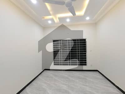 Centrally Located Ground Portion In D-12 Is Available For Rent