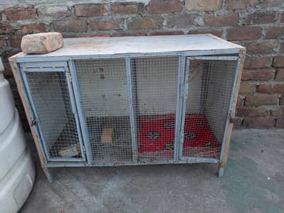 Cage for sale